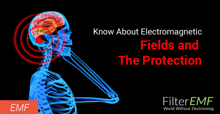 Electromagnetic Fields and The Protection
